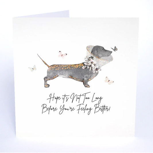 STARGAZING - Feeling Better!