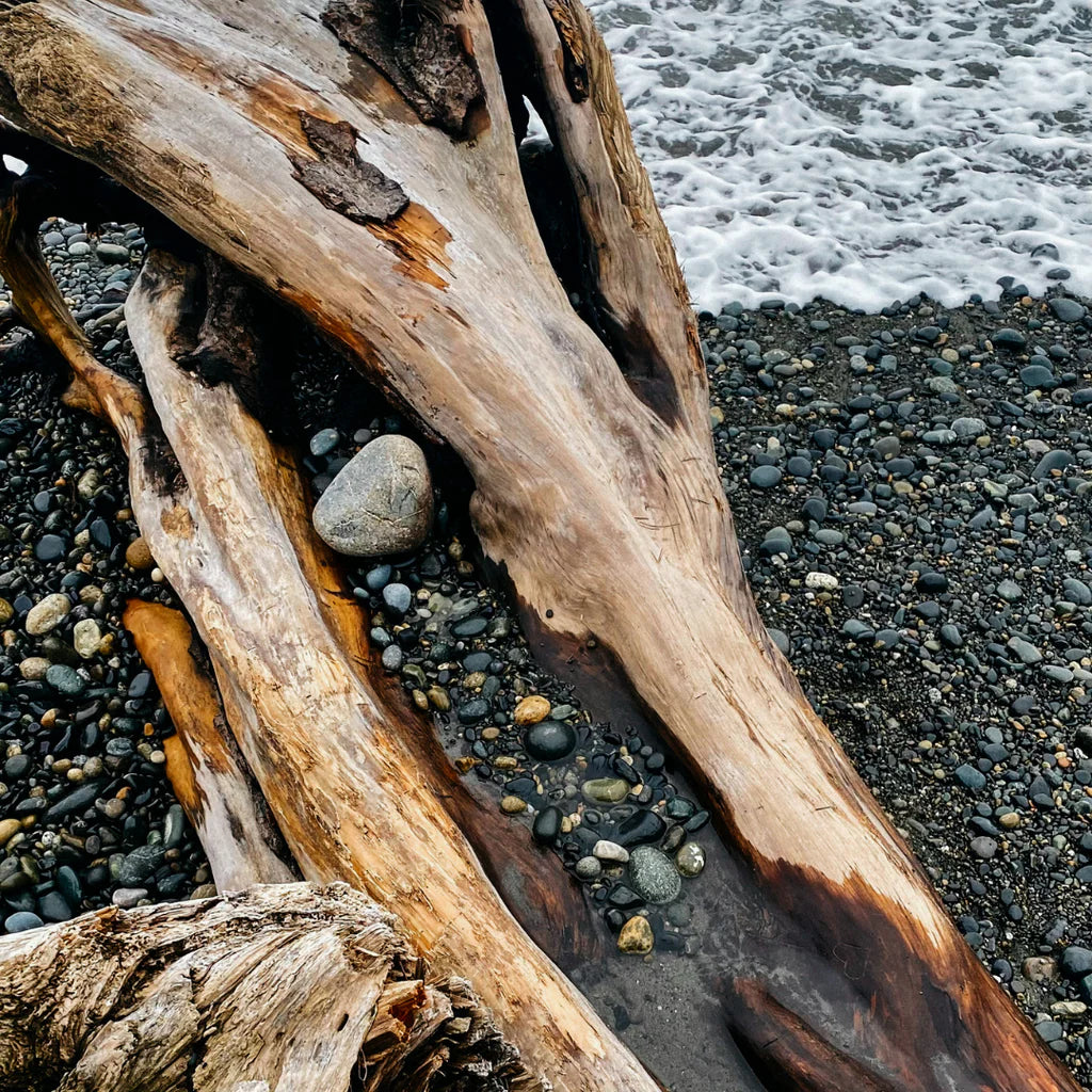 Scented Pillar - Sea Moss and Driftwood