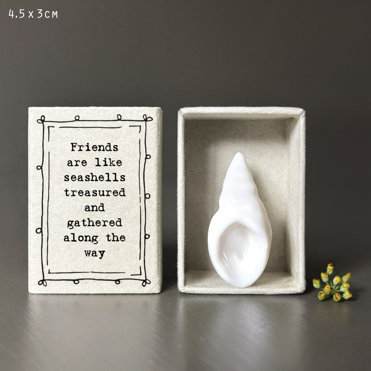 Matchbox-Shell Friends