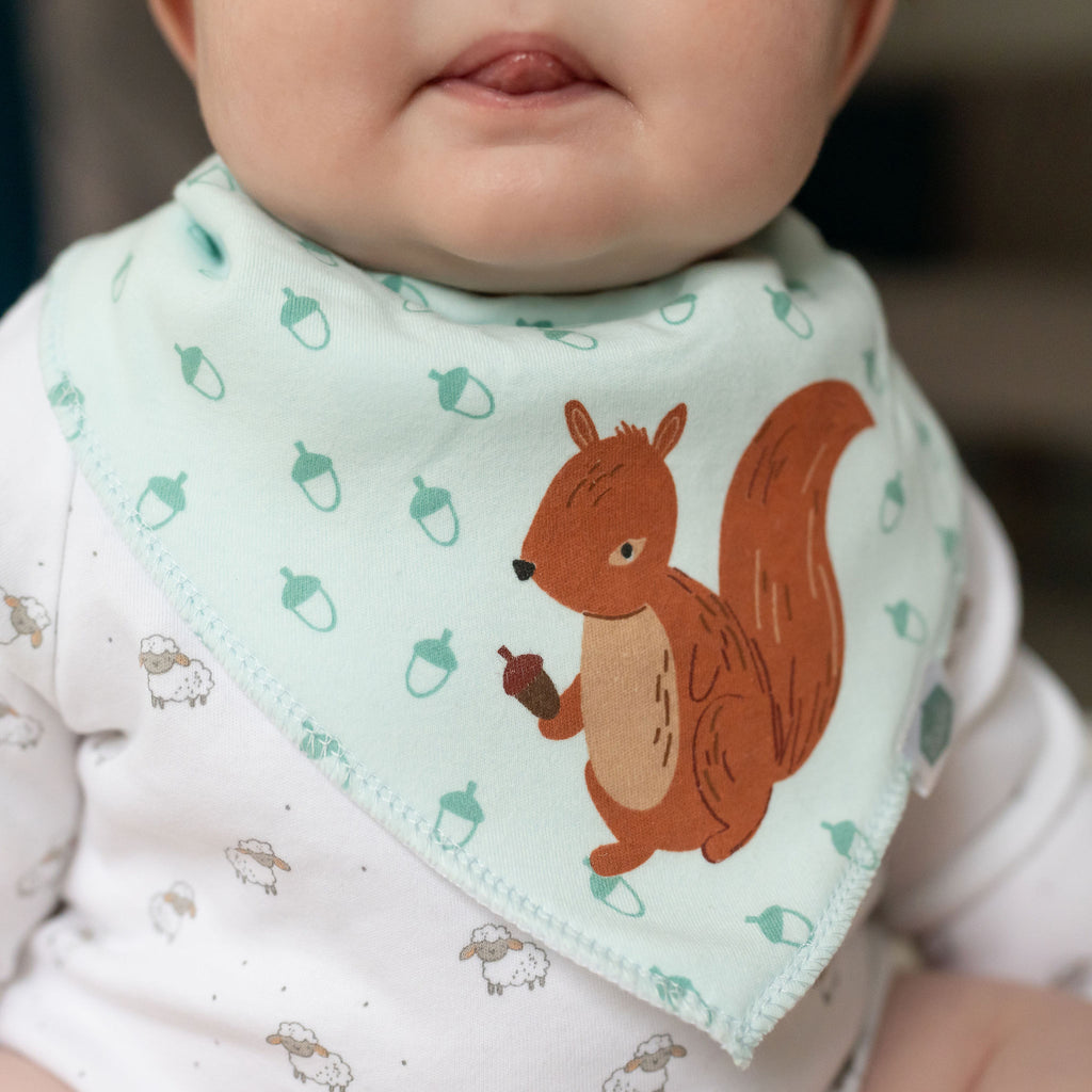 Woodland Animals Bib Gift Set