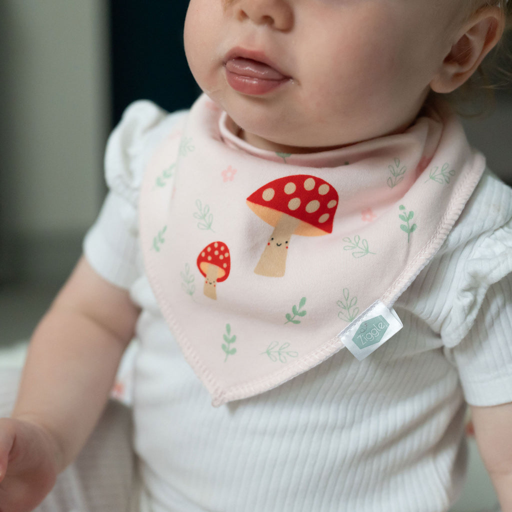 Woodland Animals Bib Gift Set