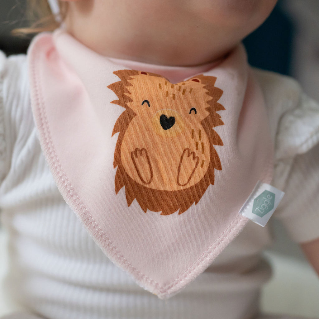Woodland Animals Bib Gift Set