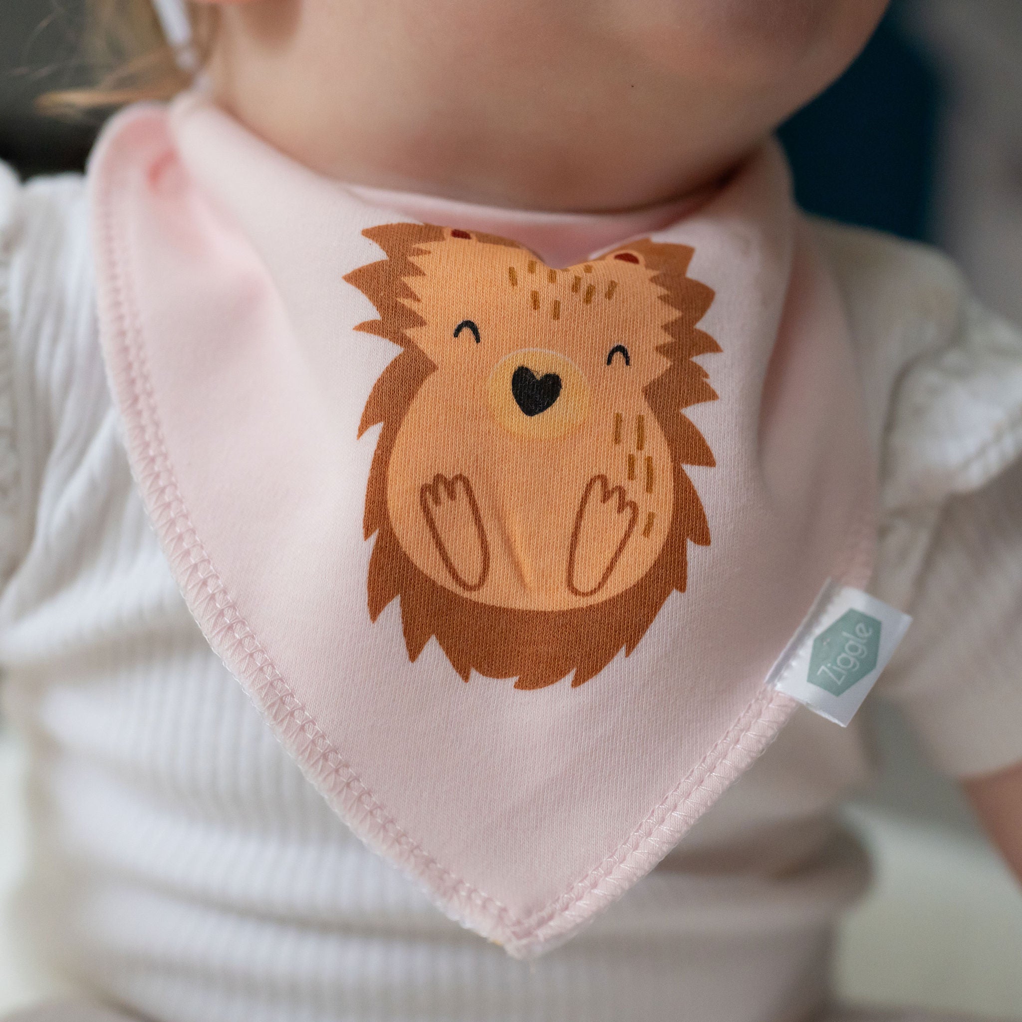 Woodland Animals Bib Gift Set