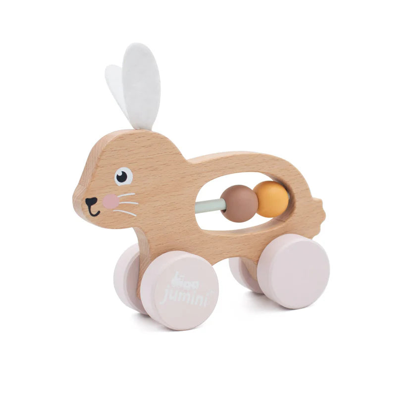 Bunny Push along bead counter