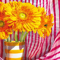Sunshine in a Vase