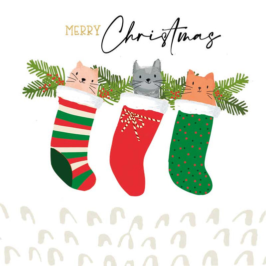 Christmas Kitten Stocking Charity Pack