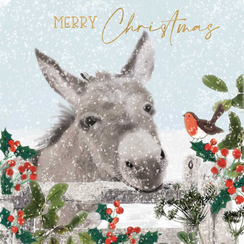 Christmas Donkey Charity Pack