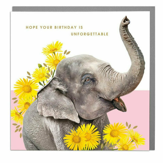 Unforgetable birthday- Elephant