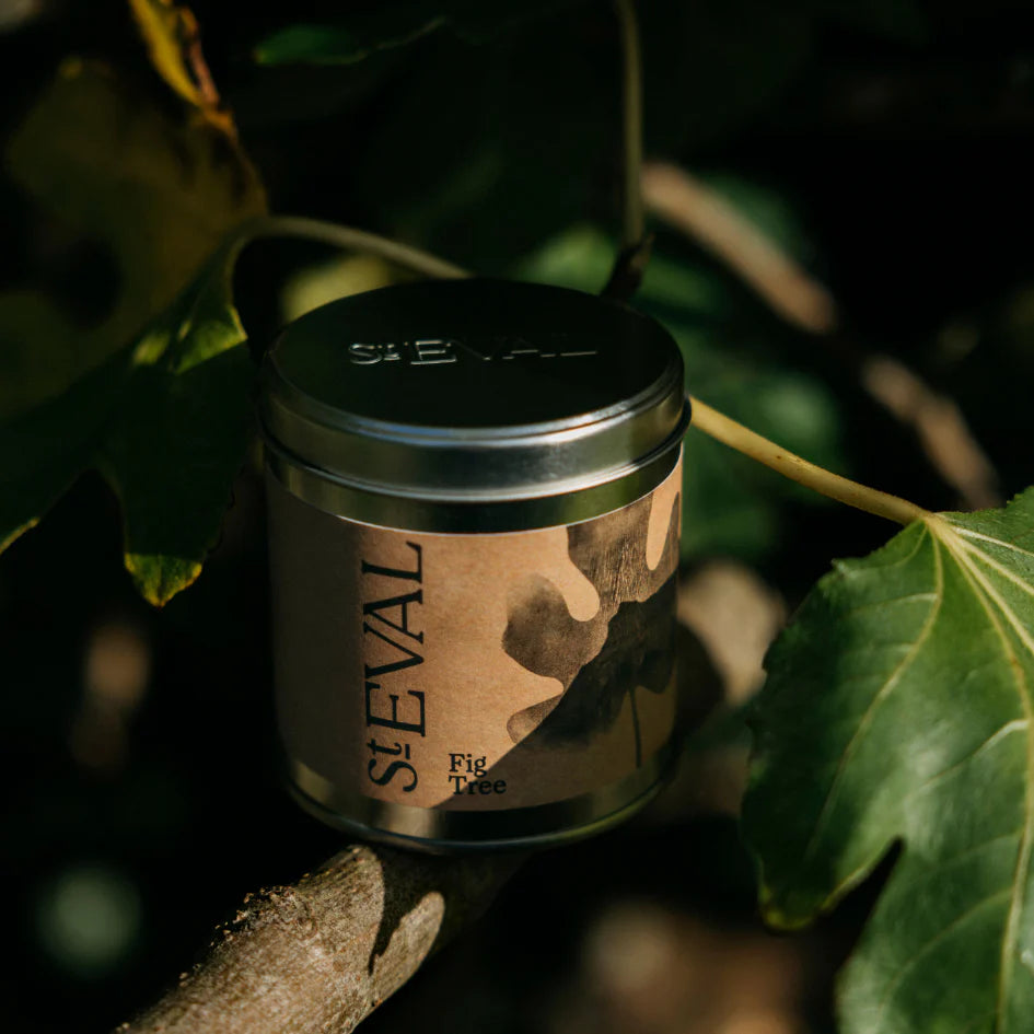 Tin - Fig Tree Scented Candle