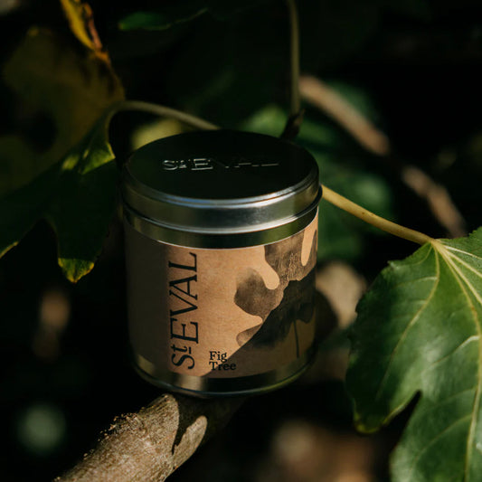 Tin - Fig Tree Scented Candle
