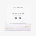 BIRTHSTONE EARRINGS | FEBRUARY AMETHYST | Silver Plated | Earrings