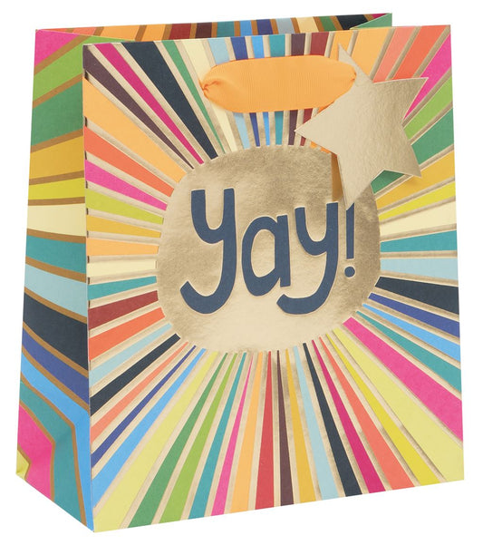 GIFT BAG MEDIUM YAY RAYS