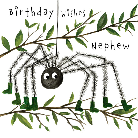 BIRTHDAY WISHES NEPHEW