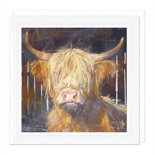Highland Cow