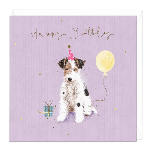 Fluffy Jack Russell Birthday