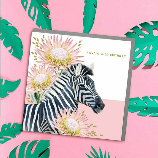 Safari Zebra Wild Birthday