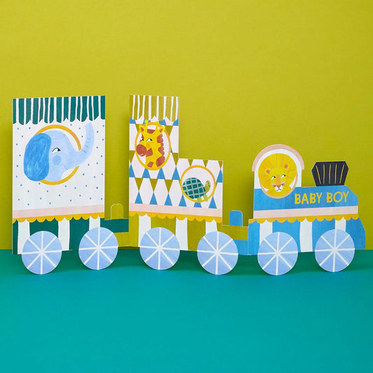 Baby Boy Concertina fold out