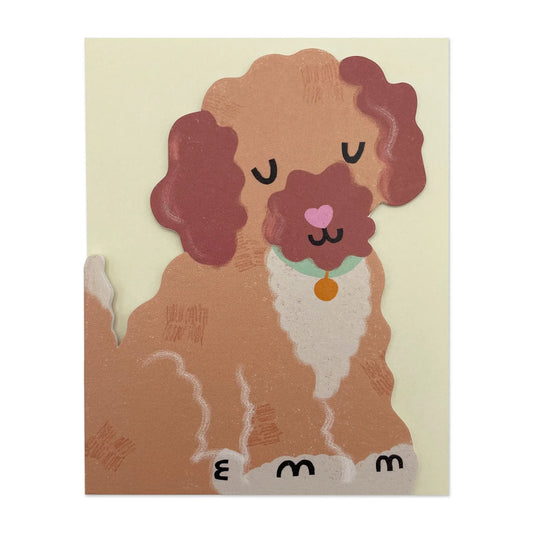 Cockapoo Puppy