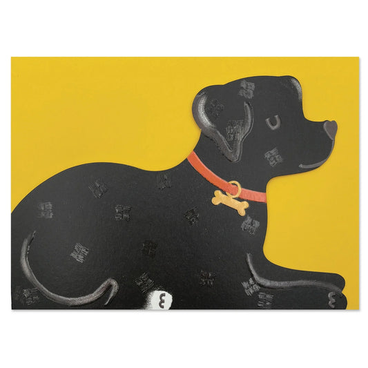 Black Labrador
