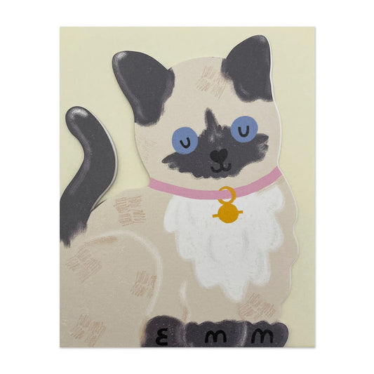 Siamese Kitten