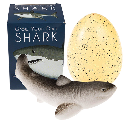 Grow Your Own Shark