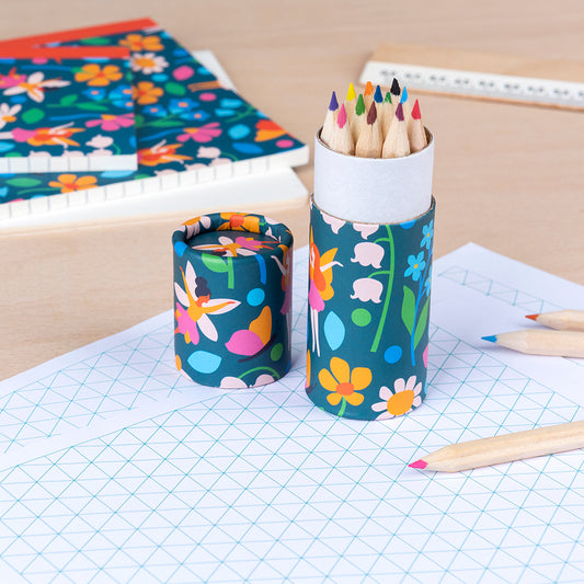 Tube Colouring Pencils Fairies