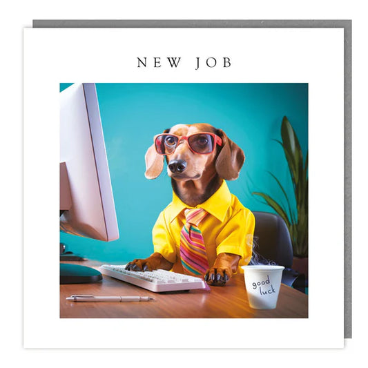 New Job