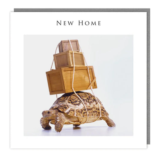 New Home Boxes