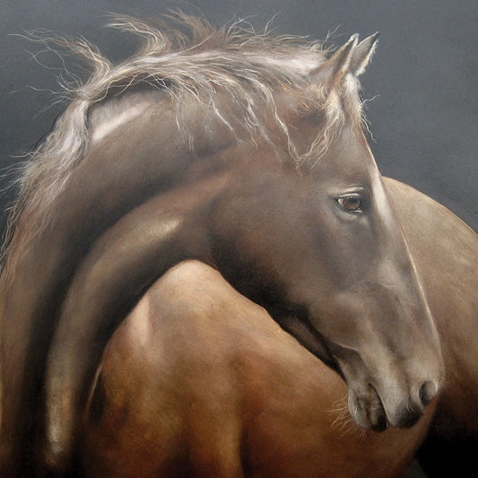 Gentle Horse