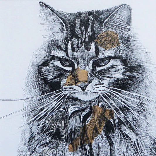 Polly the Cat