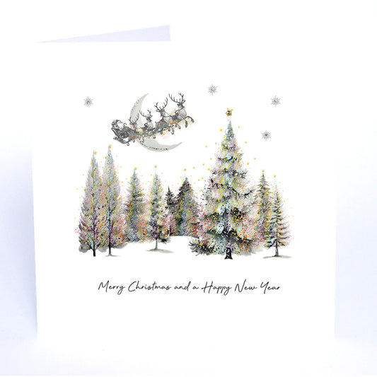 Merry Christmas and a Happy New Year