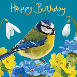 BRITISH BIRDS BLUETIT