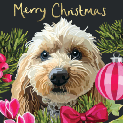 CHRISTMAS PETS COCKAPOO