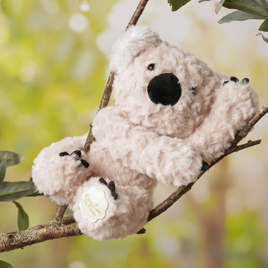 Kingston Plush Sitting Brown Koala 22cm