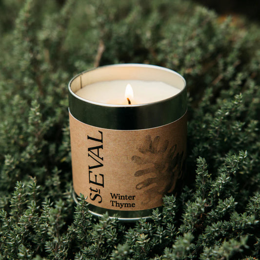 Tin - Winter Thyme