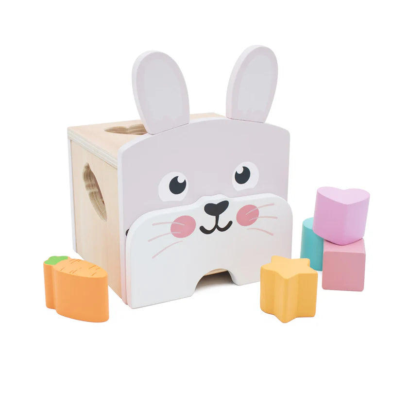 Bunny Shape Sorter