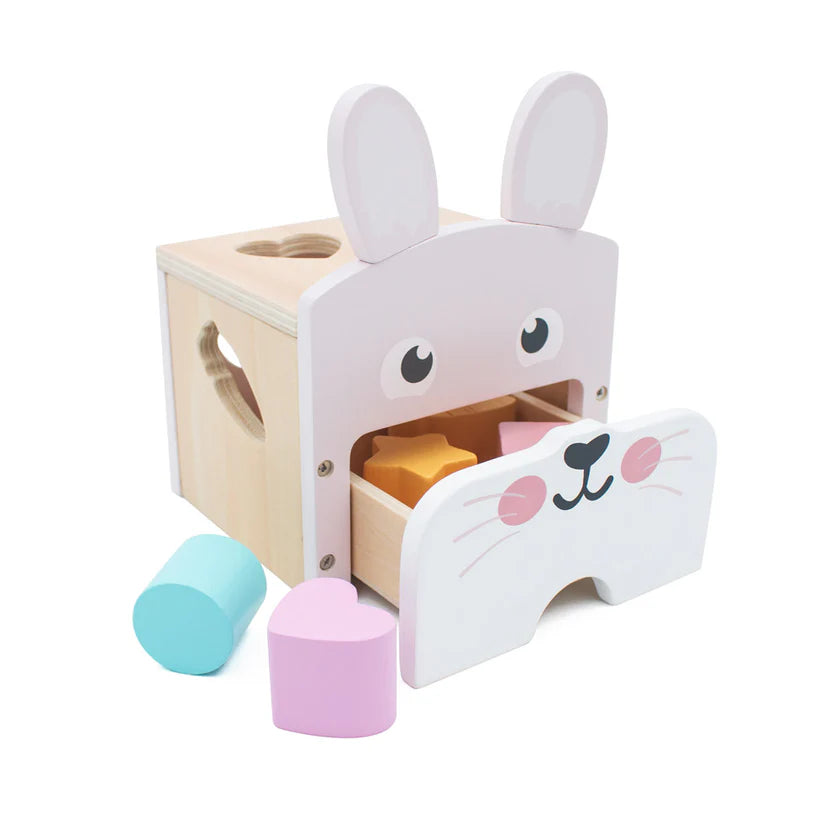 Bunny Shape Sorter