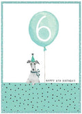 Age 6 - 6th Birthday
