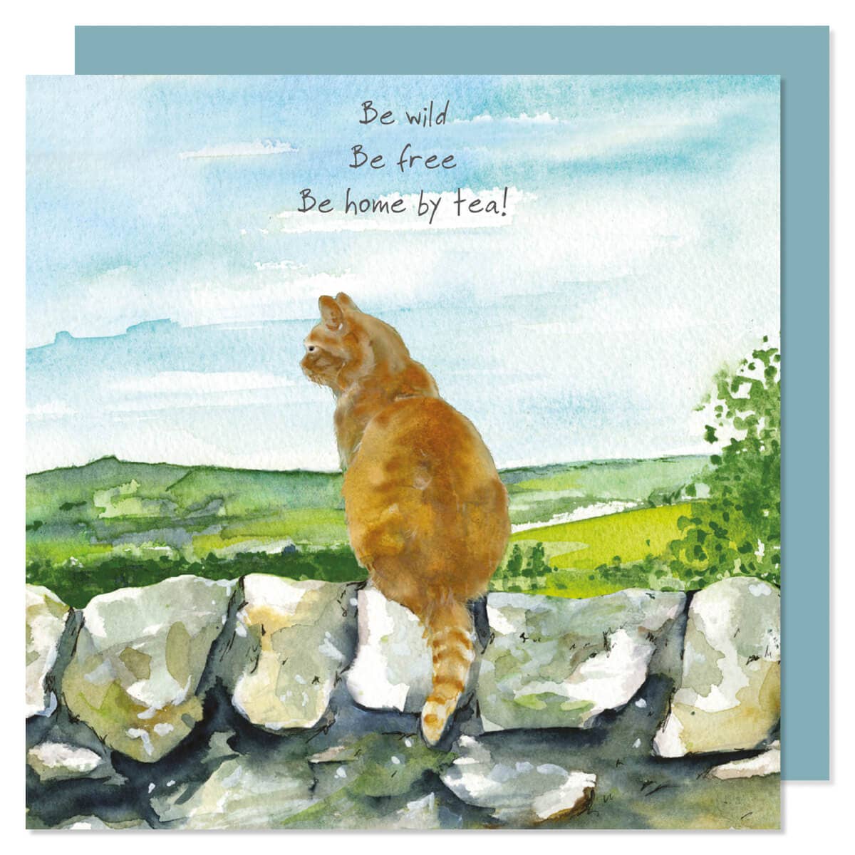 Country Cat Greeting Card