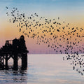 End of the Pier
