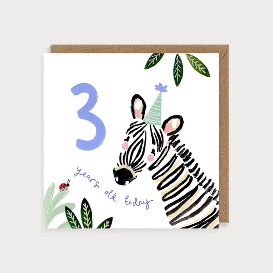 Age 3 Zebra