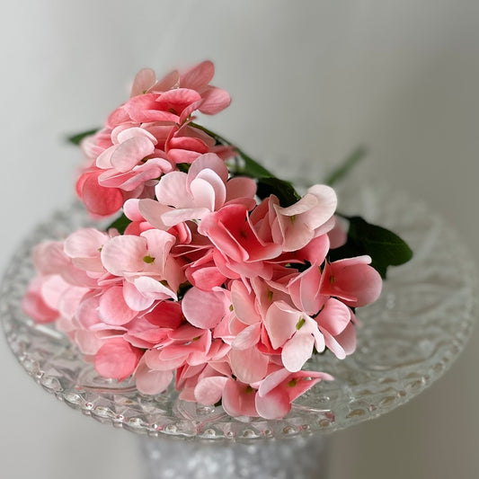 Small Hydrangea BUSH Pink