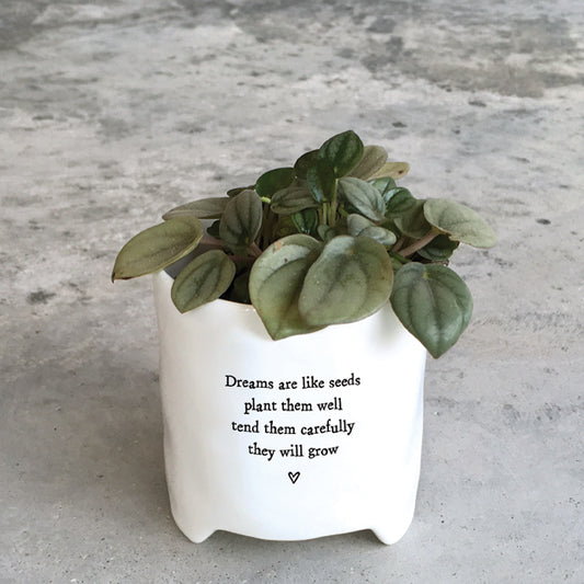 Planter - Dreams are like seeds