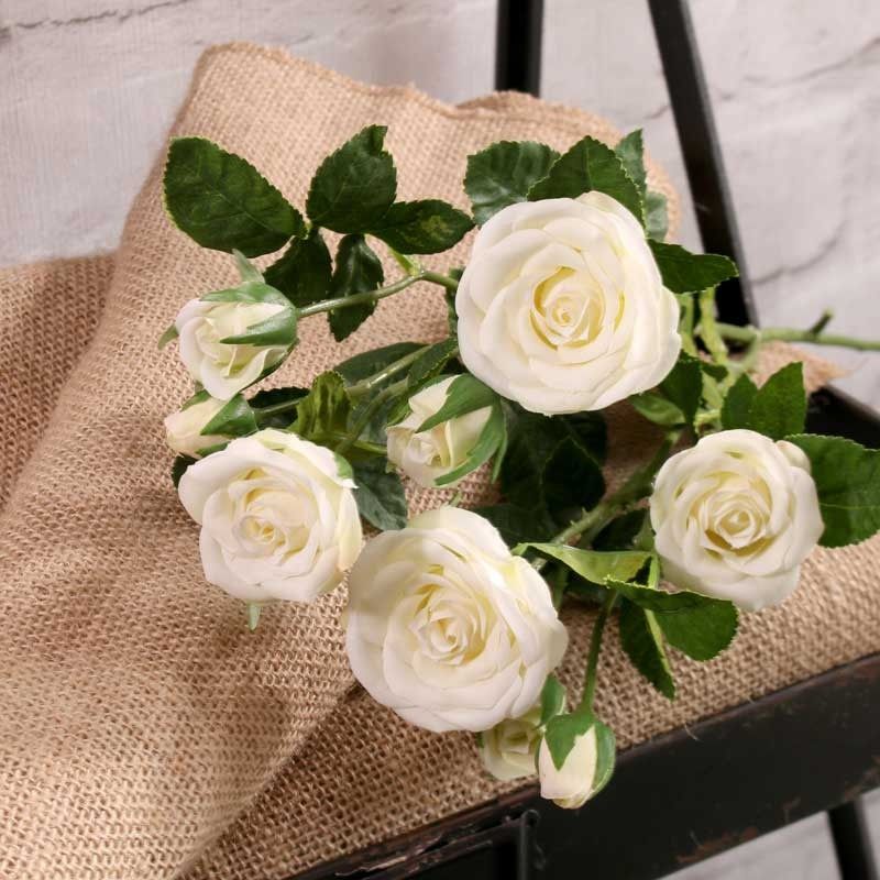 Rose Spray White