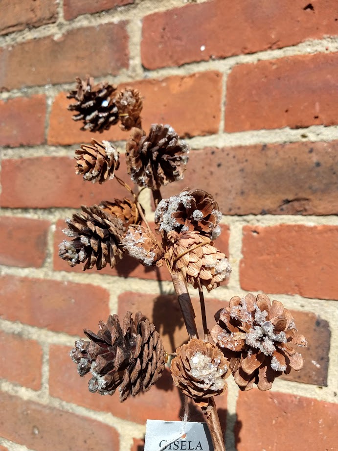 Snowy Pine Cone Branch