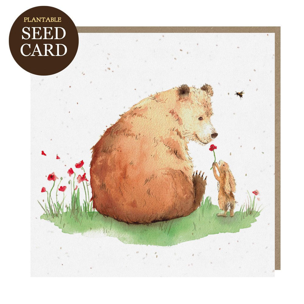 Bears Seed Cards