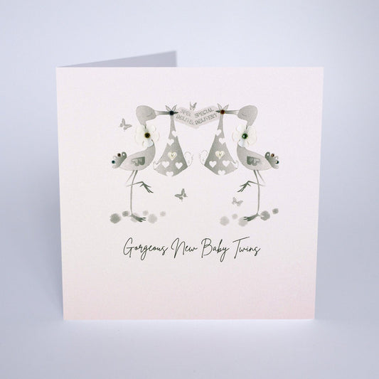 Gorgeous New Baby Twins